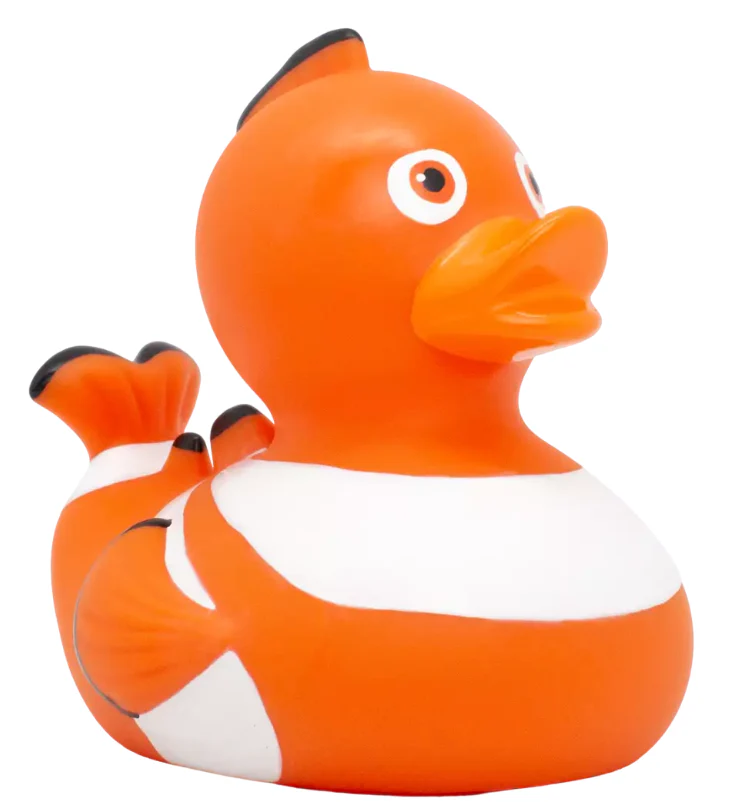 Clown Fish Duck - Image 4