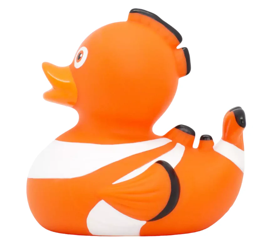 Clown Fish Duck - Image 7