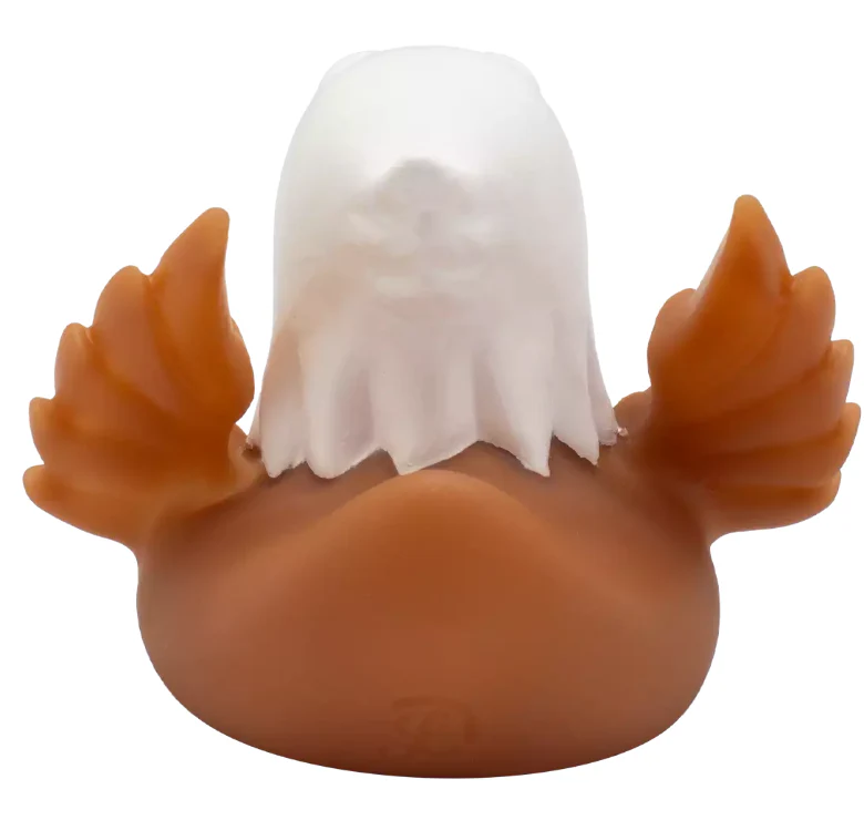 Eagle Duck - Image 6