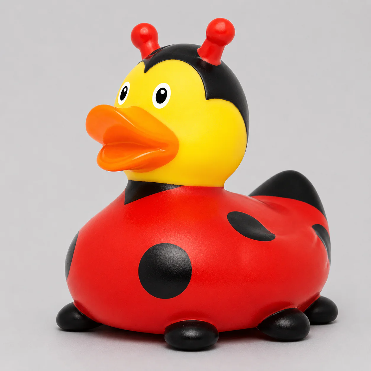 Ladybug Duck - Image 3