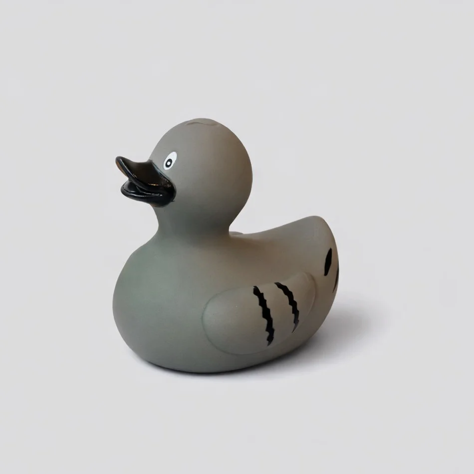 Pigeon Duck